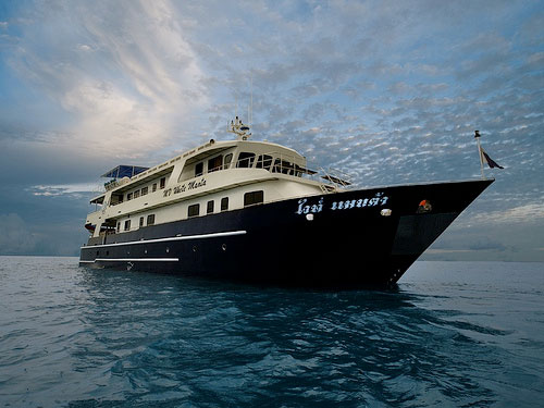 MV White Manta - Thailand Liveaboards - Dive Discovery Thailand