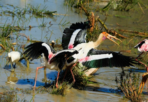 Yala National Park