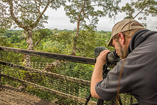 Photography - 4 Days / 3 Nights Yasuni Birdwatching Tour - Ecuador Tour Packages - Dive Discovery