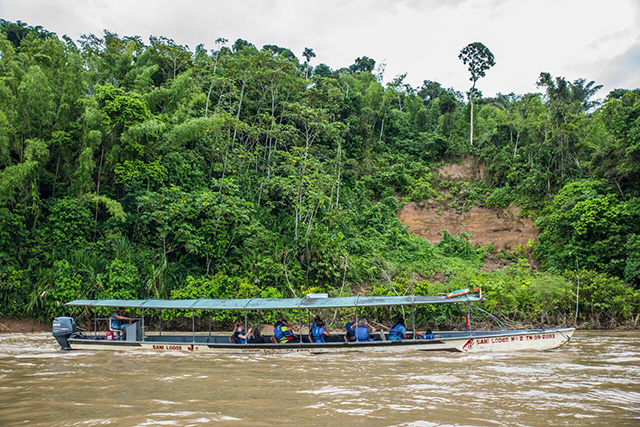 4 Days / 3 Nights Yasuni Birdwatching Tour - Ecuador Tour Packages - Dive Discovery