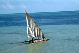 Zanzibar Safari Club - Zanzibar Dive Resorts - Dive Discovery Tanzania