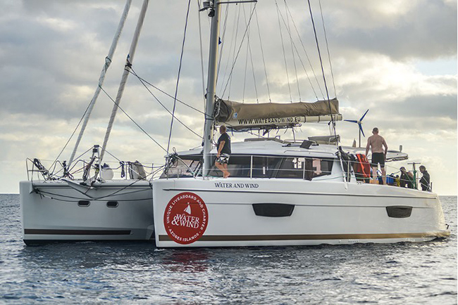 sailing catamaran