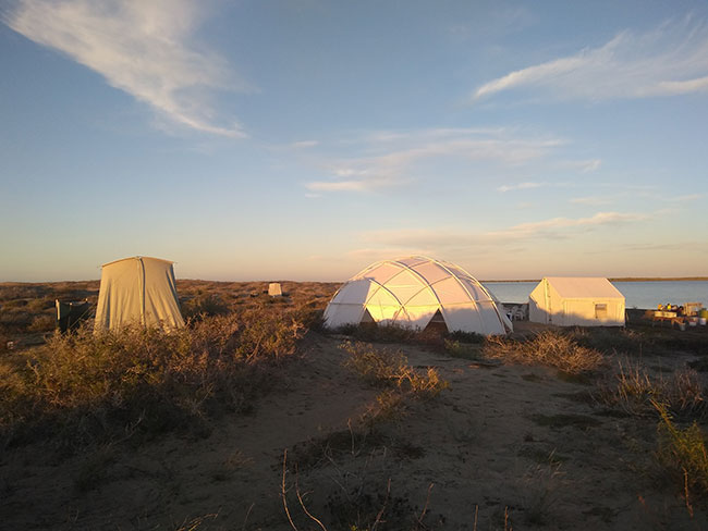 Camping - Kayak & Whale Watching Combo