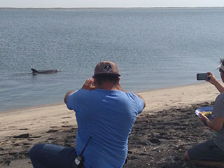 Camping - Kayak & Whale Watching Combo