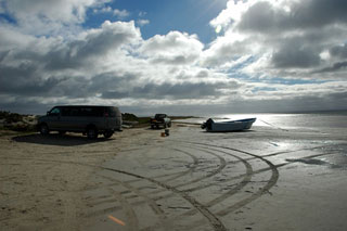 5 Day Gray Whale Watching & Camping, March 23 - 27 2014 Group Trip | Dive Discovery