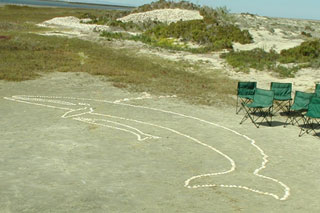 5 Day Gray Whale Watching & Camping, March 23 - 27 2014 Group Trip | Dive Discovery