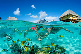 Snorkeling - Bora Bora Pearl Beach Resort & Spa