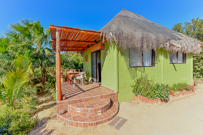 Cabo Pulmo Accommodation - Eco #4
