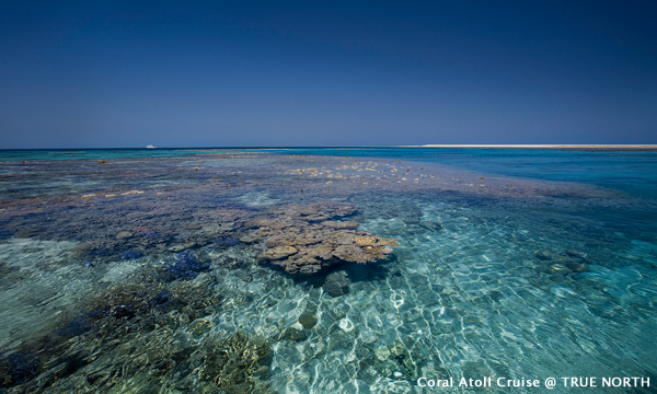 Diving Australia Great Barrier Reef Coral Sea