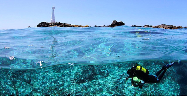 Ilhéu das Formigas - Dive the Azores, Santa Maria Island