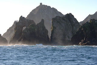 Great White Shark Cage Diving, Farallon Islands - Shark Diving - Dive ...