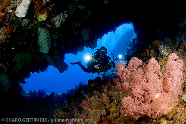 Damai I - Indonesia, November 19 - December 3 2014 Group Trip
