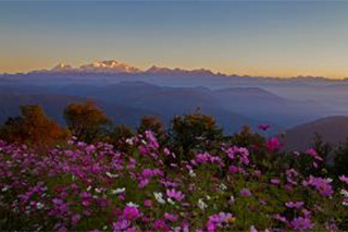 Singalila National Park