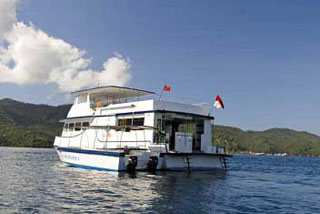 Lembeh Cottages - Indonesia Dive Resorts - Dive Discovery Indonesia