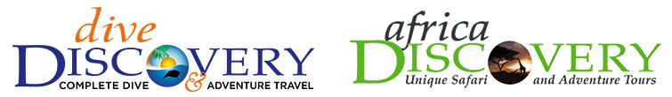 Dive Discovery & Africa Discovery Logo