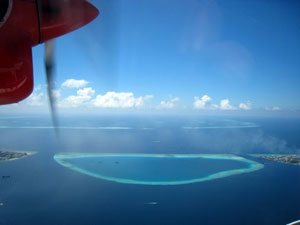 Diving Maldives