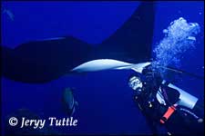 Manta Cindi Jerry Tuttle