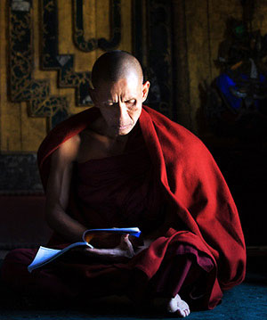Monk studying