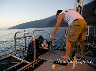 Great white shark cage diving - Nautilus Explorer