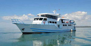 MV Yemaya - Panama Live Aboards - Dive Discovery Panama