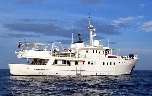 Pelagian - Indonesia Liveaboards - Dive Discovery Indonesia