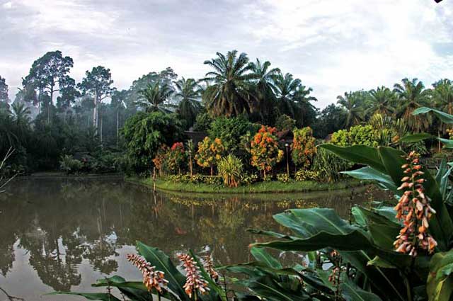 Sepilok Nature Resort - Malaysia Land Based Adventures - Dive Discovery Malaysia