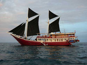 The Seven Seas - Indonesia Liveaboards - Dive Discovery Indonesia