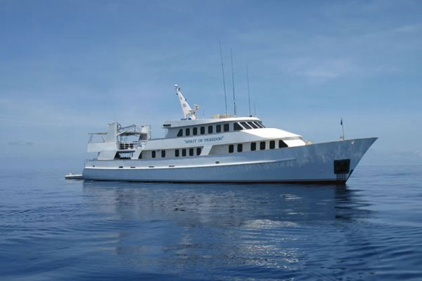 MV Spirit of Freedom - Australia Liveaboards - Dive Discovery Australia