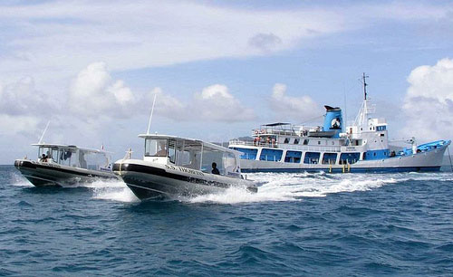 SS Thorfinn - Palau, Truk Liveaboards - Dive Discovery Micronesia