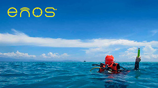 Beacon ENOS plus - Tiaré  - Indonesia Liveaboard