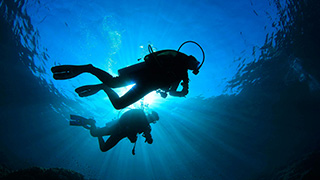 Diving - Tiaré  - Indonesia Liveaboard