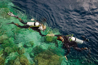 Wakatobi Dive Resort - Indonesia Dive Resorts - Dive Discovery Indonesia